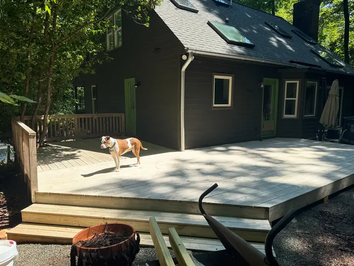 Freshly stained two-tone back deck with a dog standing on it
